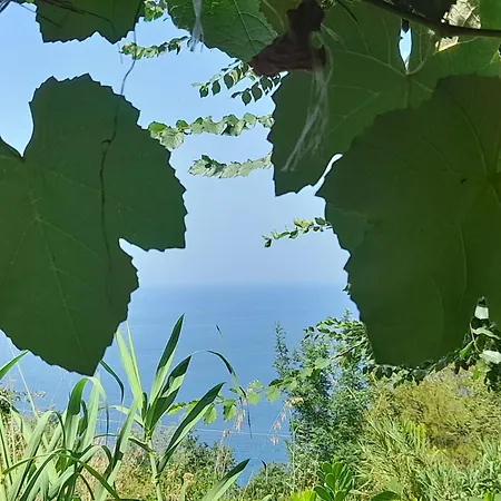Vacanze Macchione Capo Vaticano