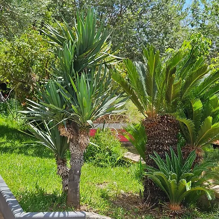 Vacanze Macchione Capo Vaticano