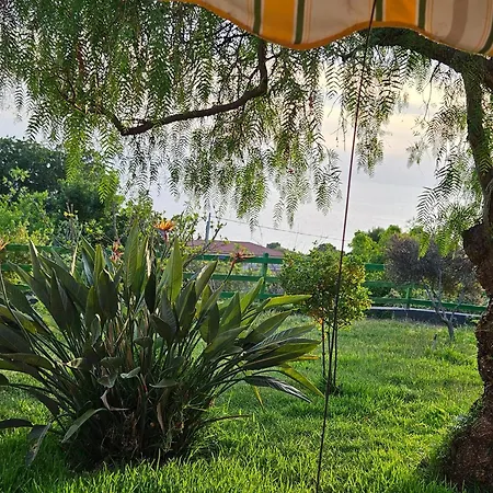 Apartamento Vacanze Macchione Capo Vaticano