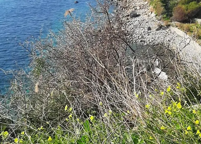 Vacanze Macchione 公寓 *