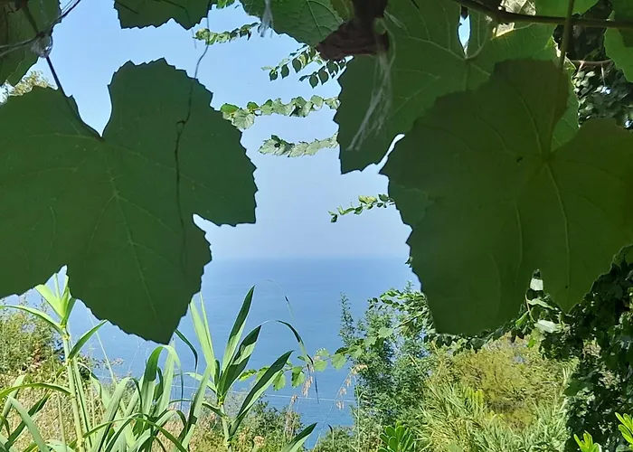 Vacanze Macchione 梵蒂冈角