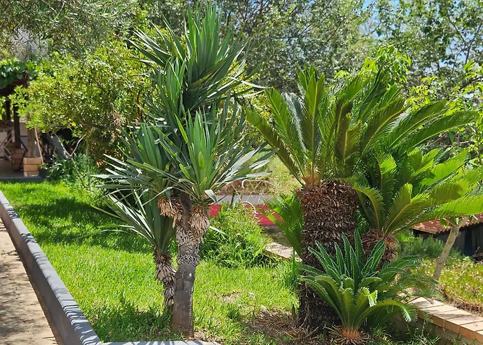 Vacanze Macchione Capo Vaticano